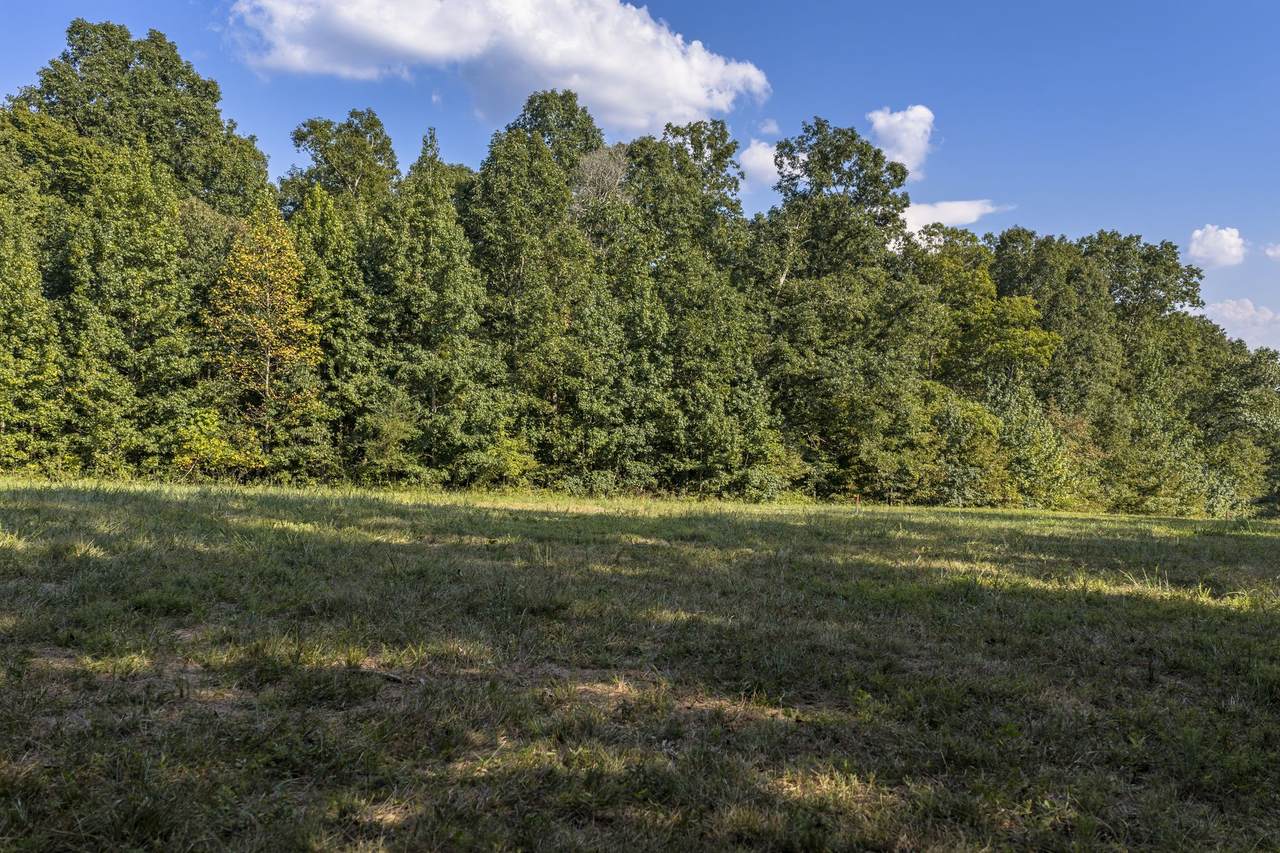 https://bt-photos.global.ssl.fastly.net/nashville/1280_boomver_1_RTC3543027-1.jpg
