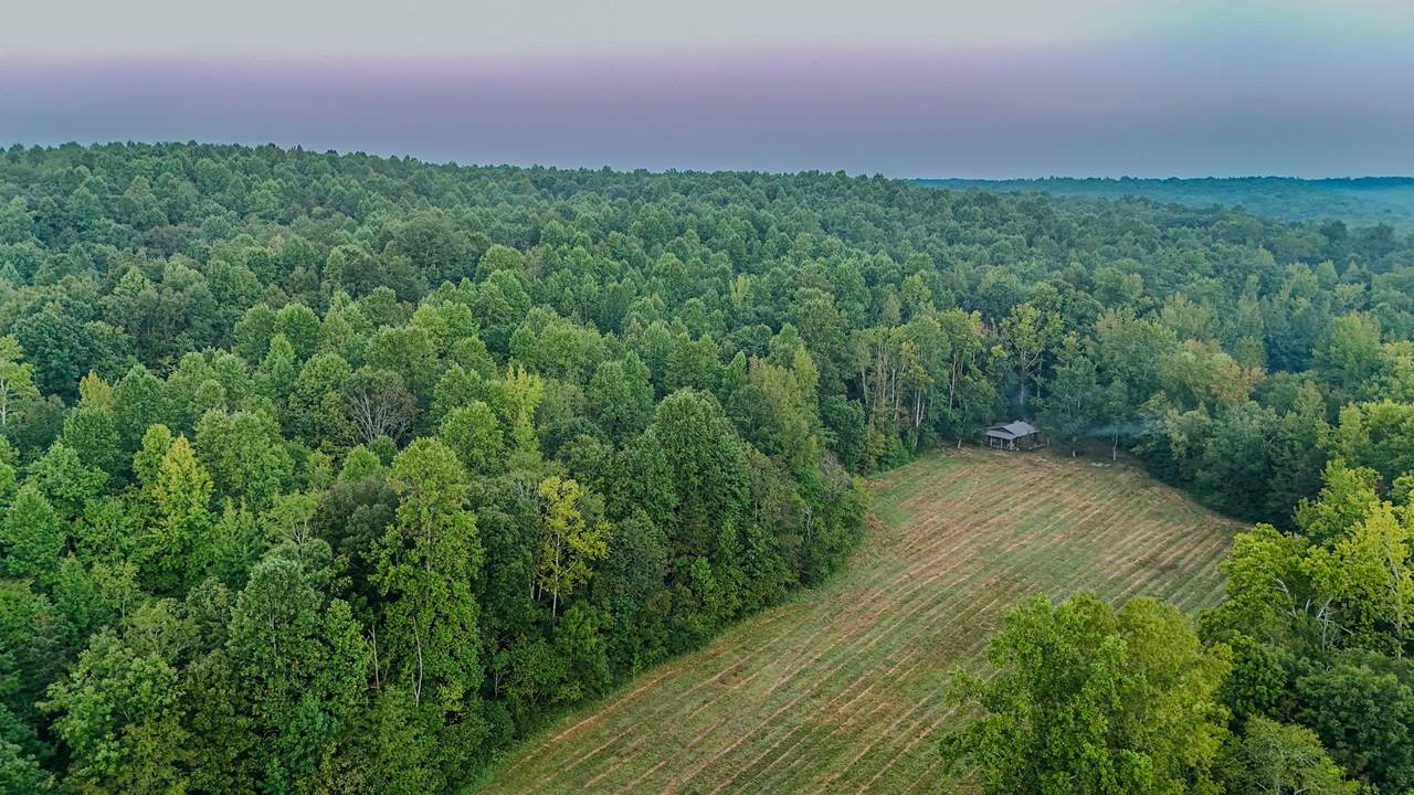 965 Flag Springs Rd - Photo 1
