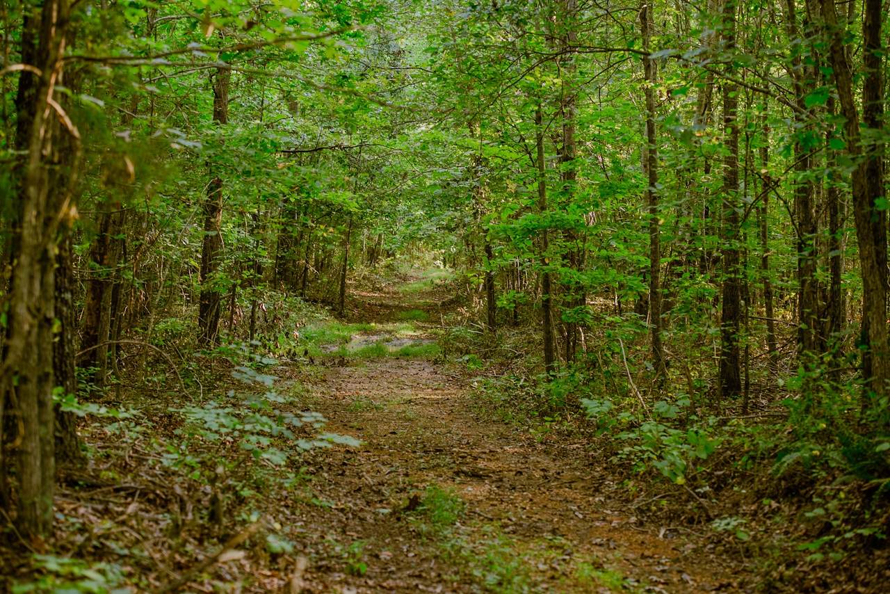 https://bt-photos.global.ssl.fastly.net/nashville/1280_boomver_1_RTC3543048-1.jpg