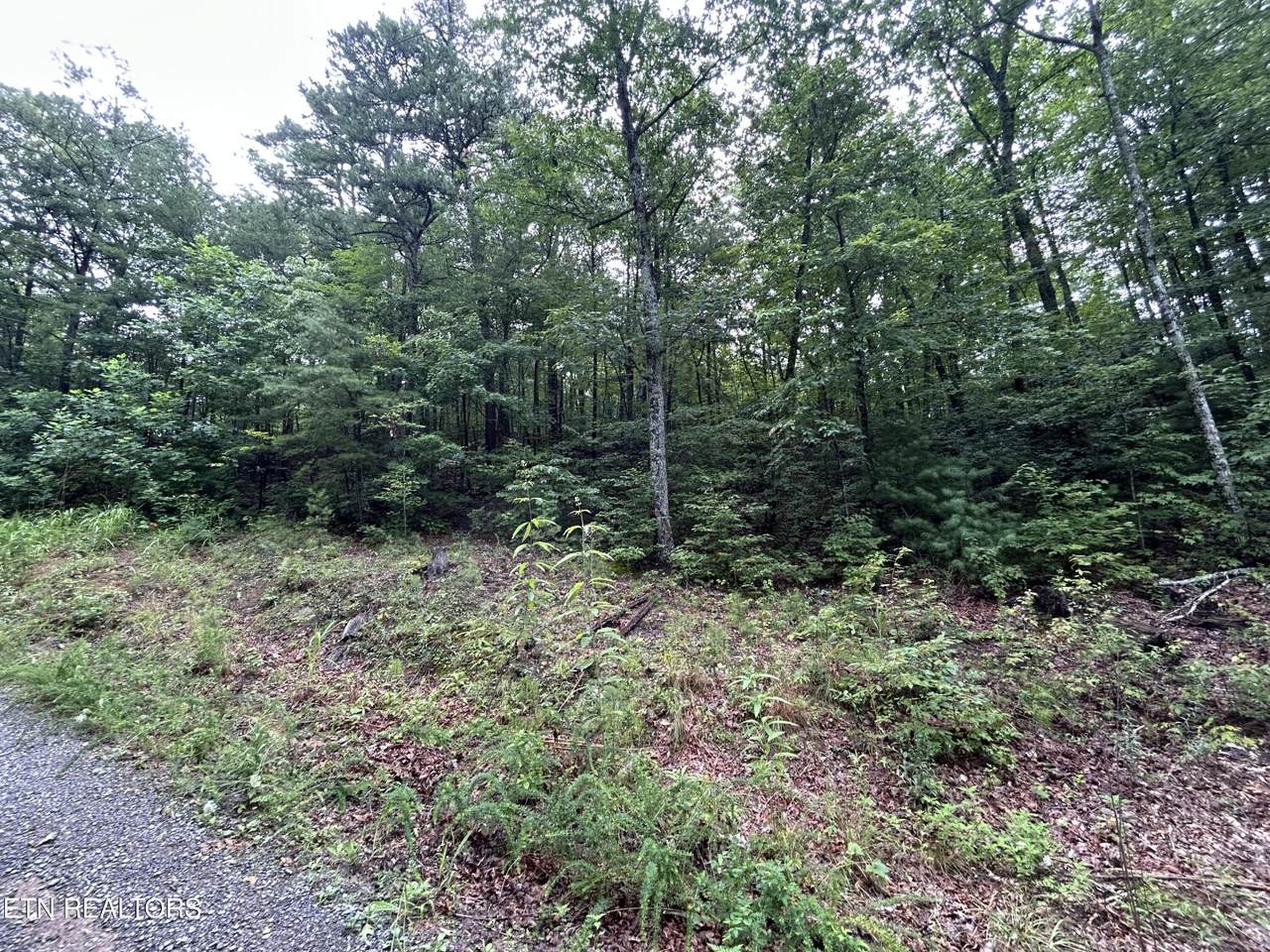 0 Black Oak Drive - Photo 1