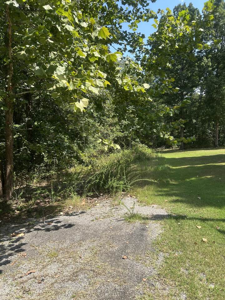 https://bt-photos.global.ssl.fastly.net/nashville/1280_boomver_1_RTC3545503-1.jpg