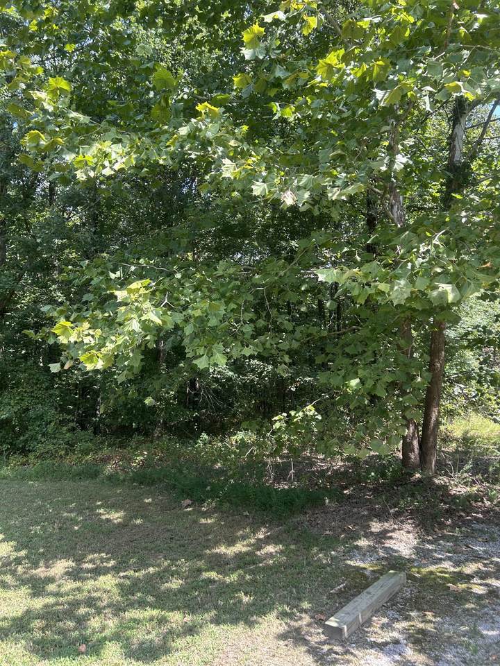 https://bt-photos.global.ssl.fastly.net/nashville/1280_boomver_1_RTC3545503-1.jpg