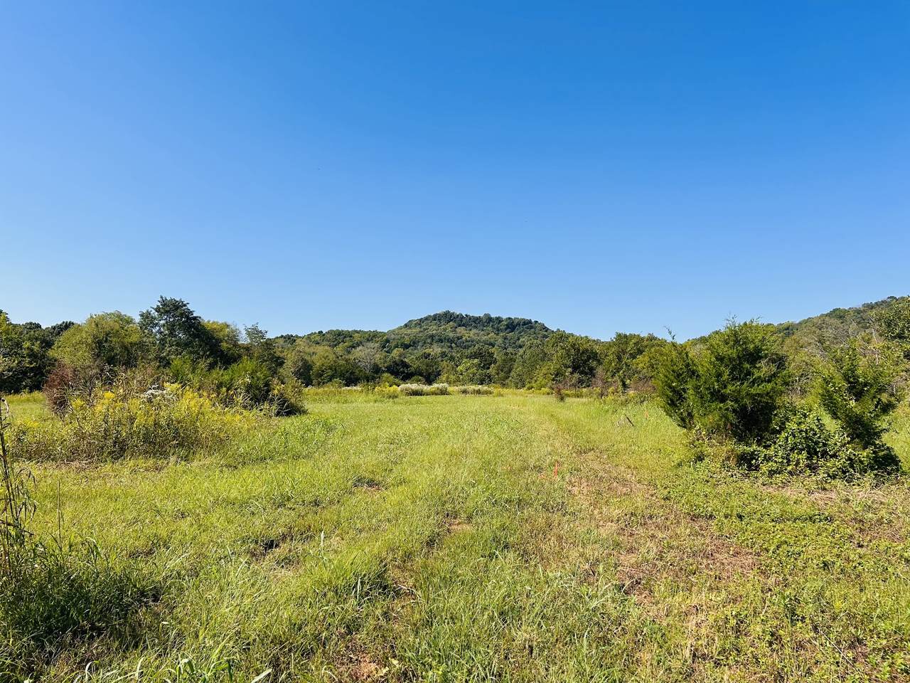 0 Bradyville Pike - Photo 1