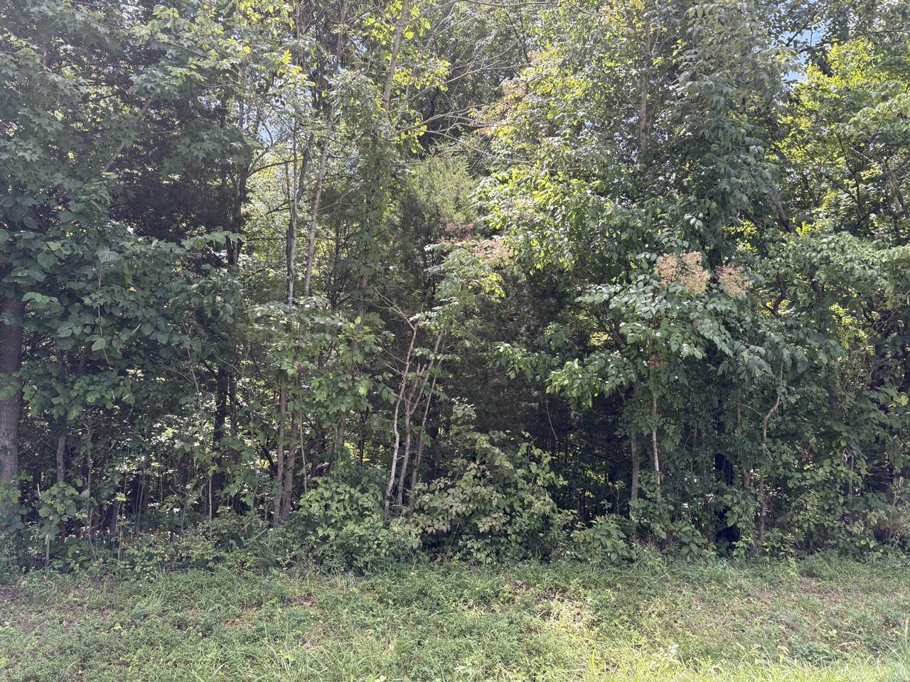 https://bt-photos.global.ssl.fastly.net/nashville/1280_boomver_1_RTC3545587-1.jpg