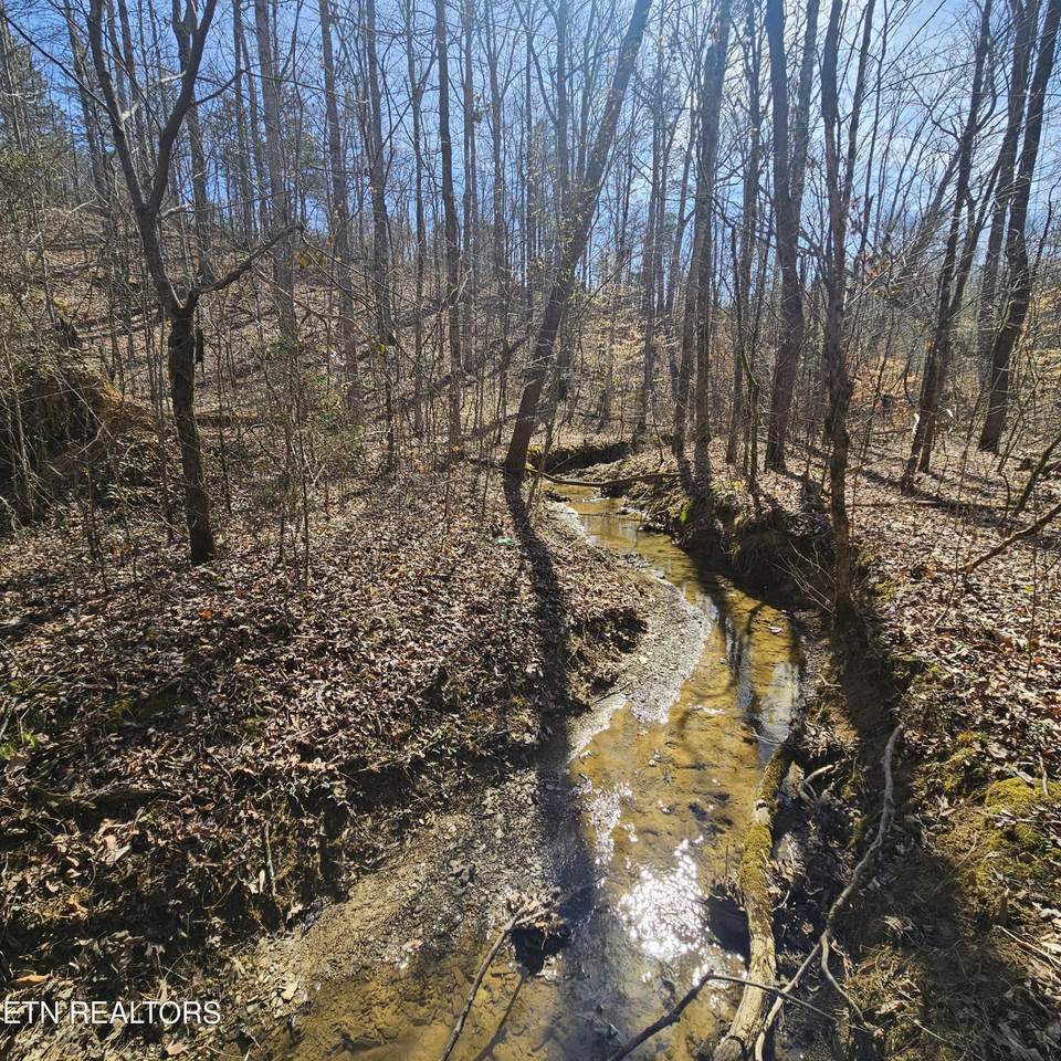 0 Lick Creek Rd - Photo 1