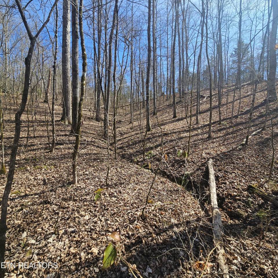https://bt-photos.global.ssl.fastly.net/nashville/1280_boomver_1_RTC3546166-1.jpg