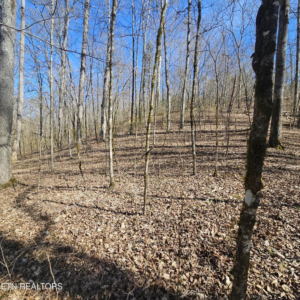 https://bt-photos.global.ssl.fastly.net/nashville/1280_boomver_1_RTC3546166-1.jpg