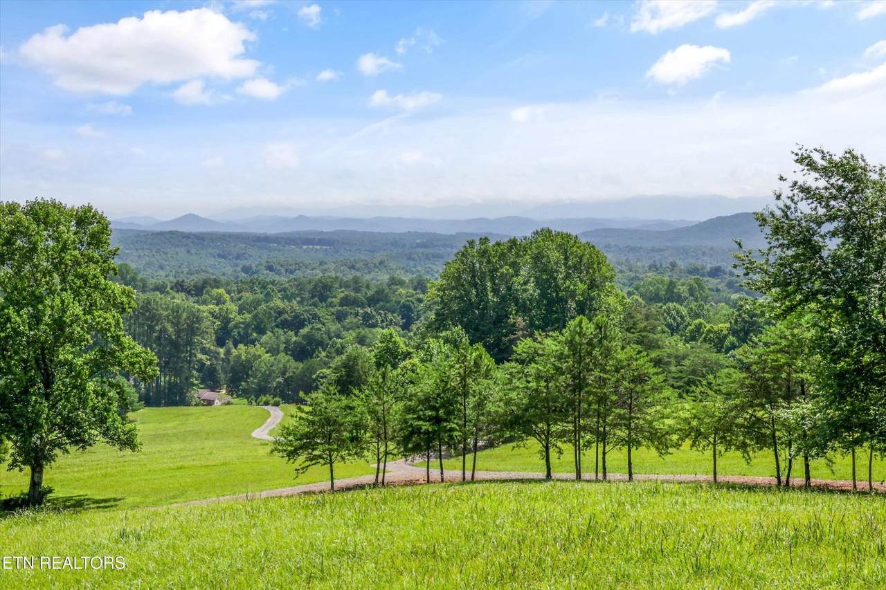 https://bt-photos.global.ssl.fastly.net/nashville/1280_boomver_1_RTC3546589-1.jpg