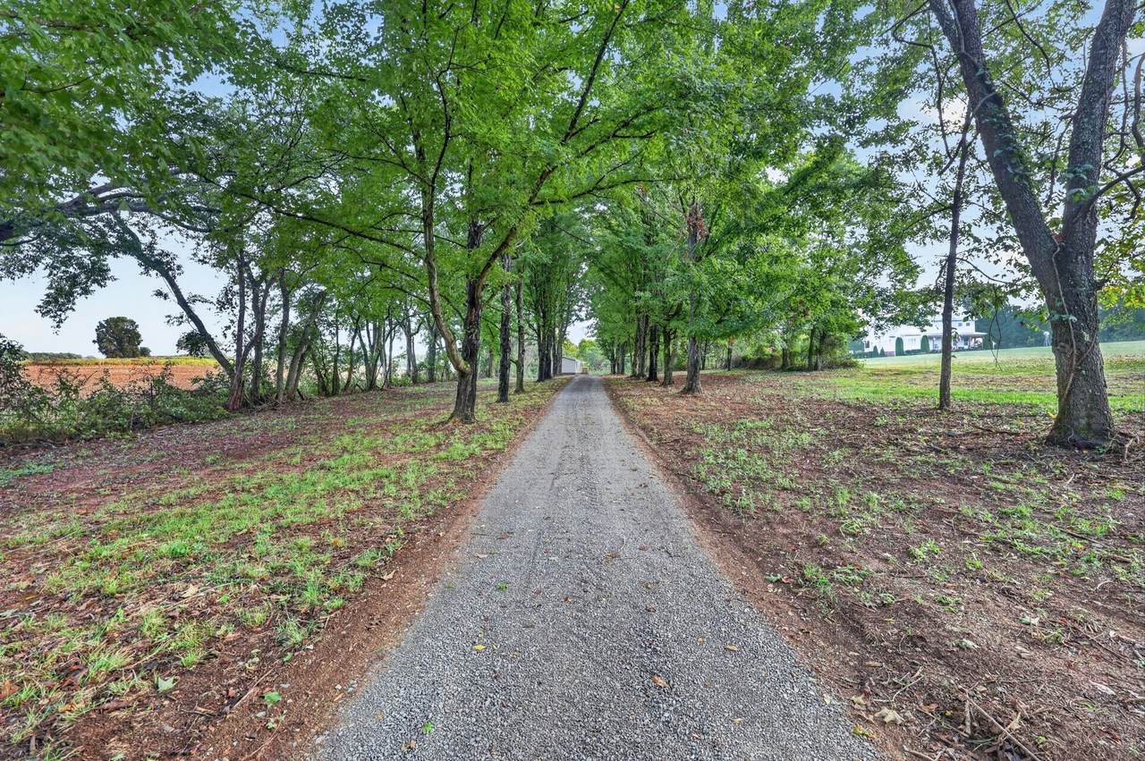 https://bt-photos.global.ssl.fastly.net/nashville/1280_boomver_1_RTC3546771-1.jpg