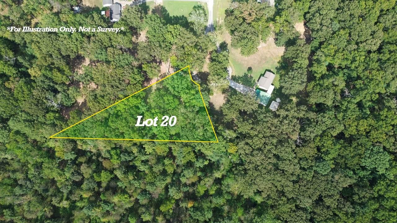 0 Swift Ln - Photo 1