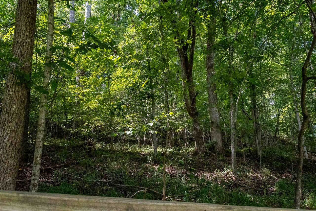 https://bt-photos.global.ssl.fastly.net/nashville/1280_boomver_1_RTC3547116-1.jpg