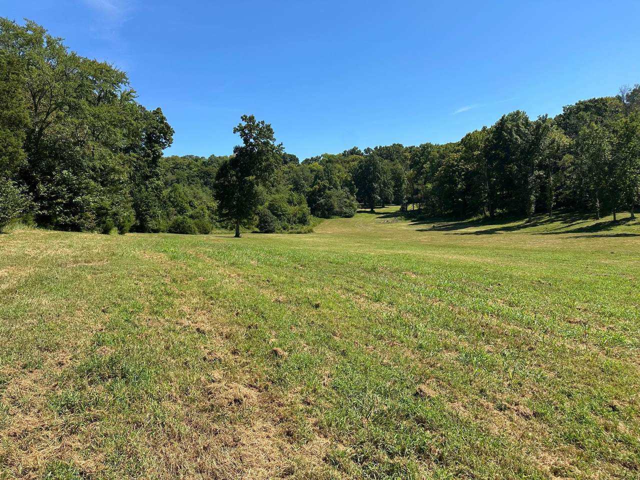 6414 Peytonsville Arno Rd - Photo 1