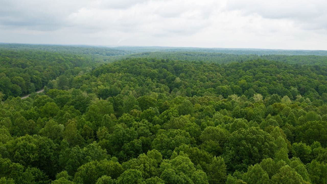 https://bt-photos.global.ssl.fastly.net/nashville/orig_boomver_1_RTC3593633-1.jpg