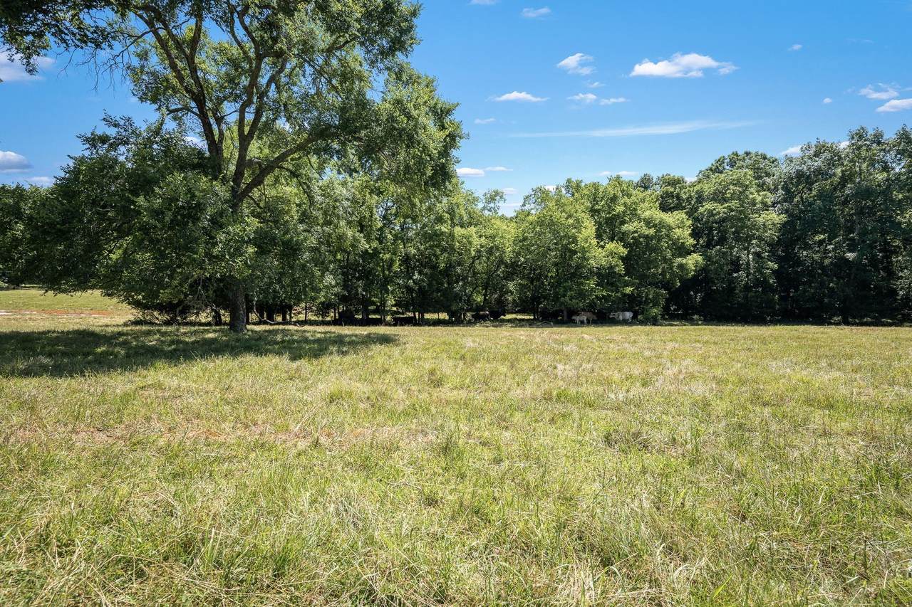 505 Philippi Rd - Photo 1
