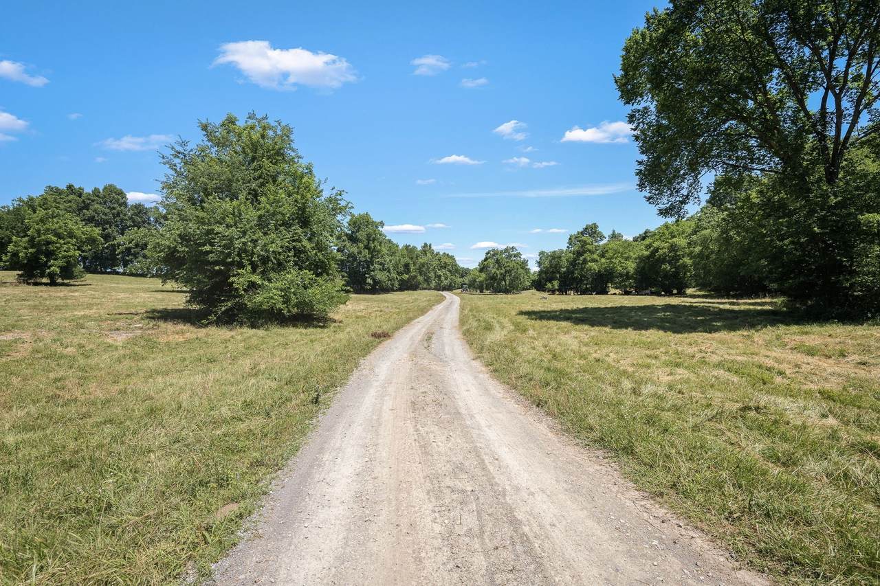 https://bt-photos.global.ssl.fastly.net/nashville/1280_boomver_1_RTC3594383-1.jpg