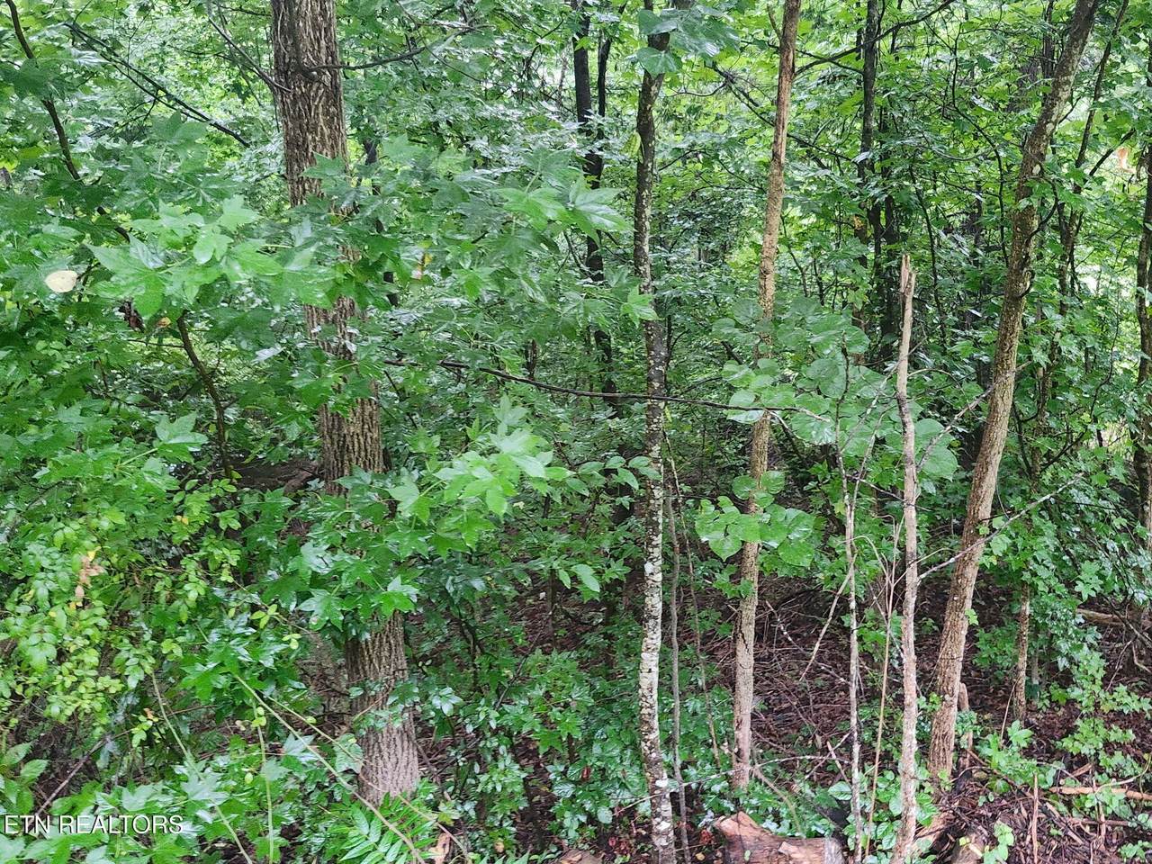 https://bt-photos.global.ssl.fastly.net/nashville/1280_boomver_1_RTC3597072-1.jpg