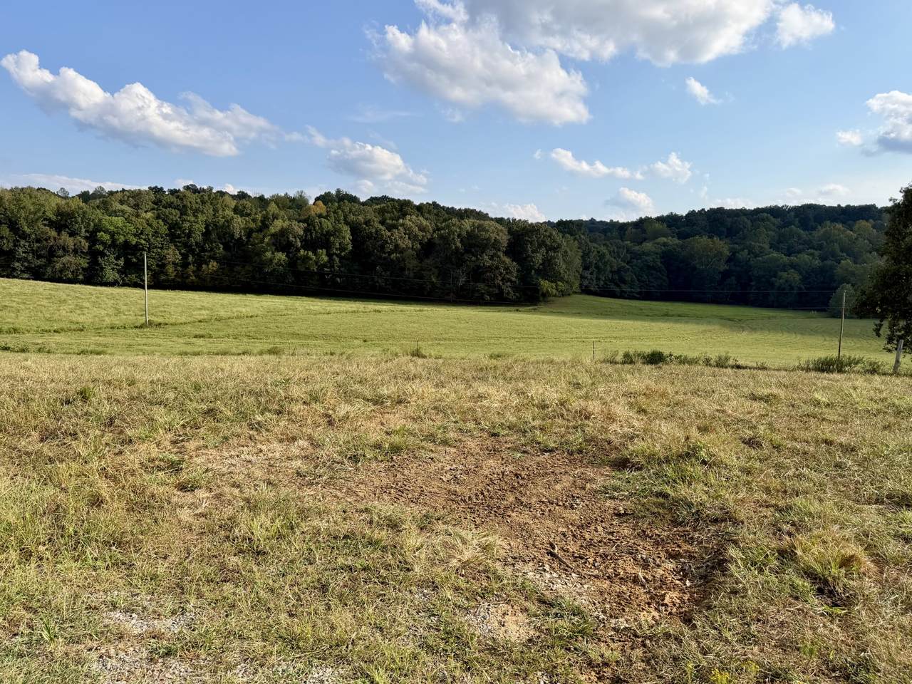 https://bt-photos.global.ssl.fastly.net/nashville/1280_boomver_1_RTC3597184-1.jpg