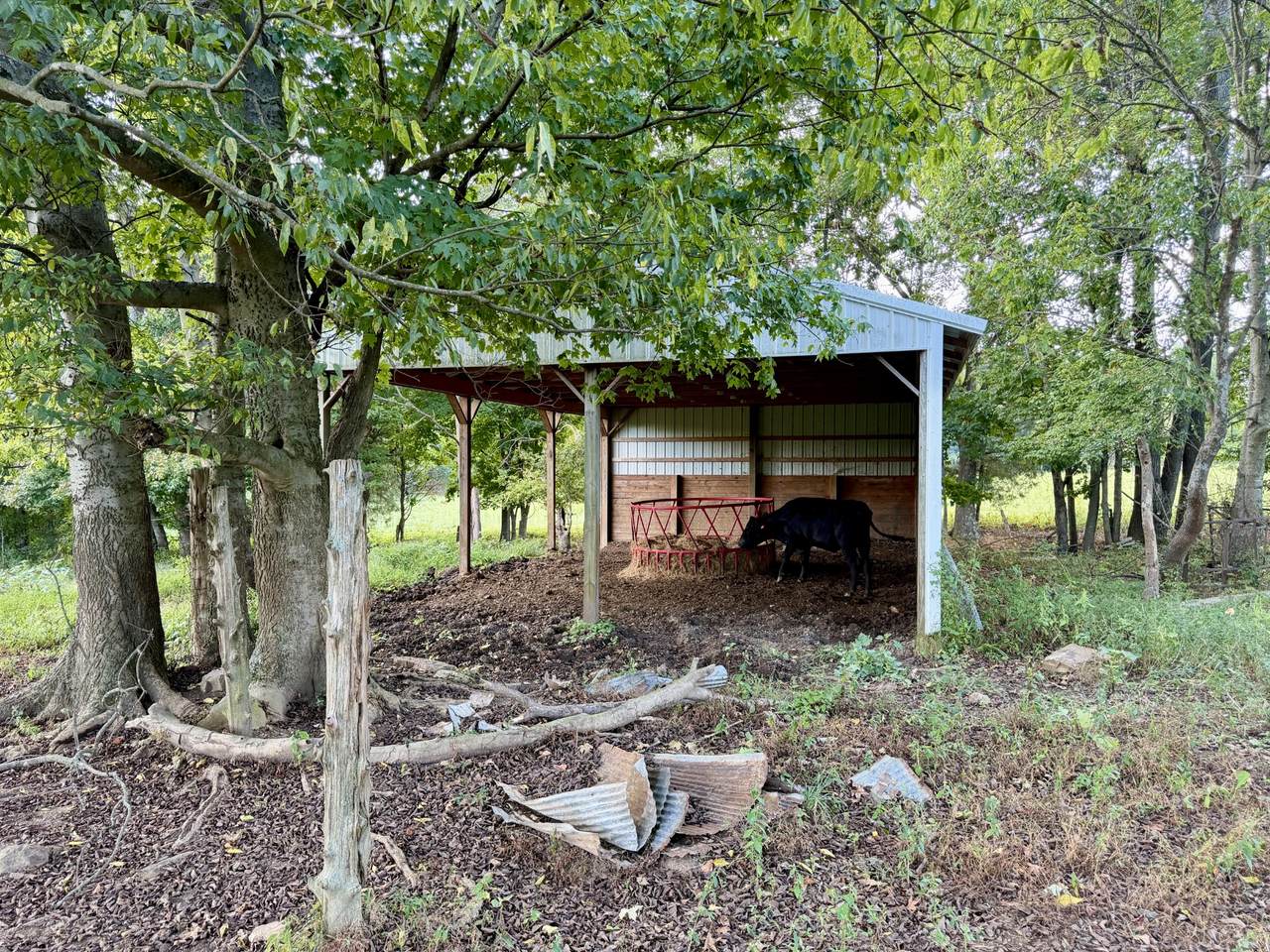 https://bt-photos.global.ssl.fastly.net/nashville/1280_boomver_1_RTC3597184-1.jpg