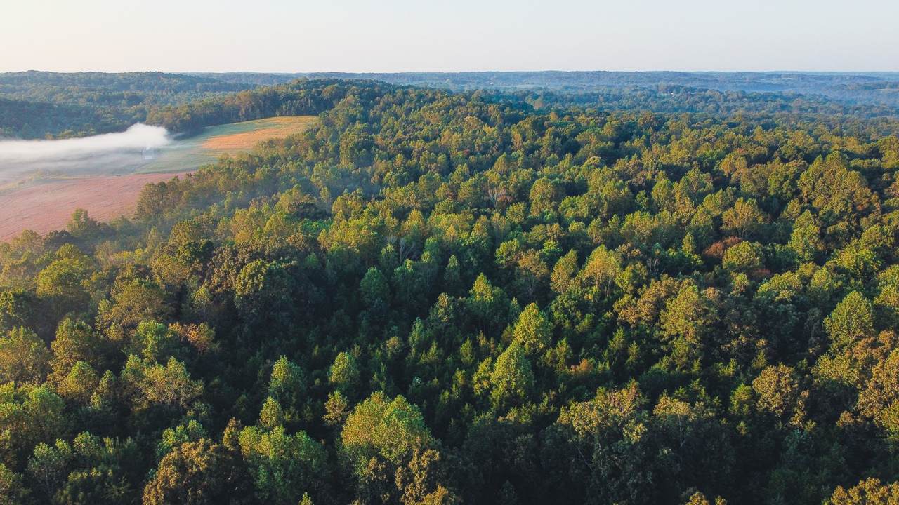 https://bt-photos.global.ssl.fastly.net/nashville/1280_boomver_1_RTC3597318-1.jpg