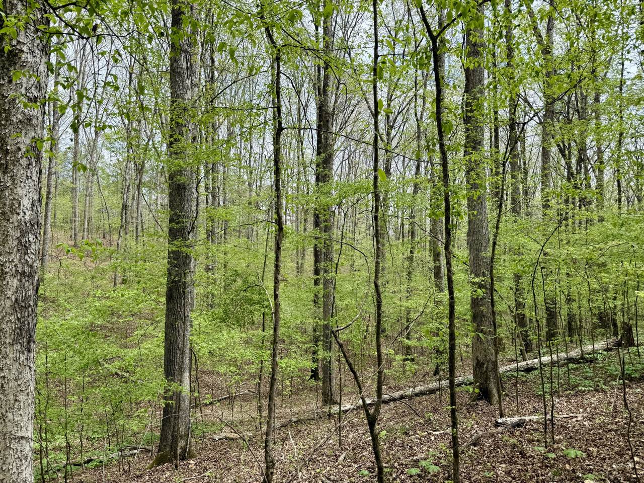 https://bt-photos.global.ssl.fastly.net/nashville/1280_boomver_1_RTC3598636-1.jpg