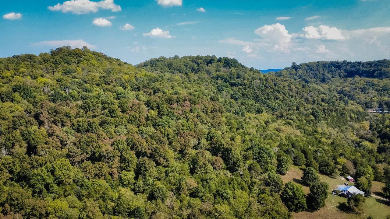 https://bt-photos.global.ssl.fastly.net/nashville/orig_boomver_1_RTC3598938-1.jpg