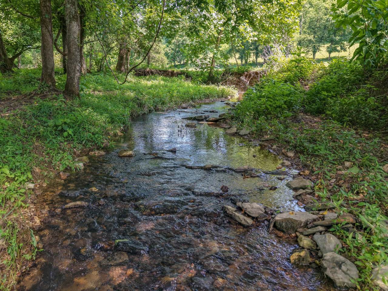 https://bt-photos.global.ssl.fastly.net/nashville/1280_boomver_1_RTC3599099-1.jpg