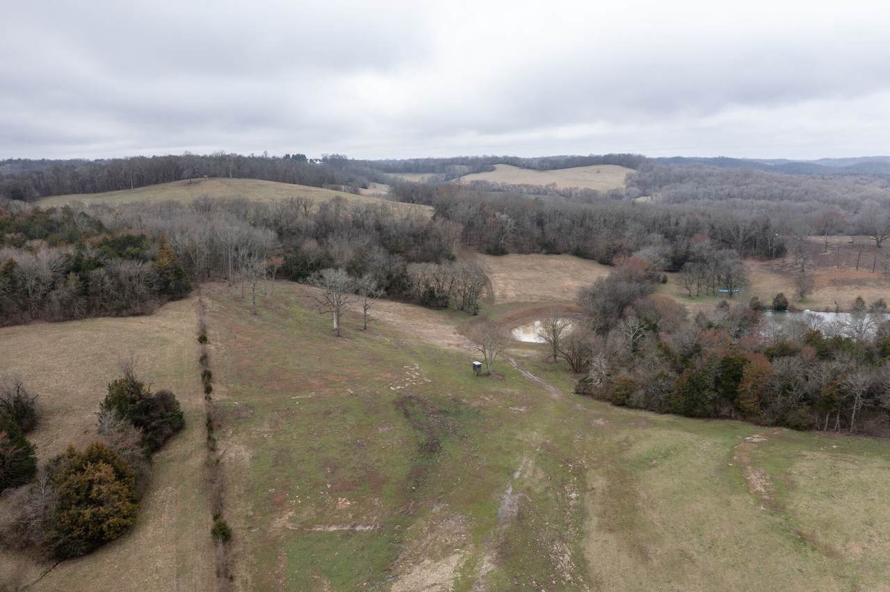 0 Molino Rd - Photo 1