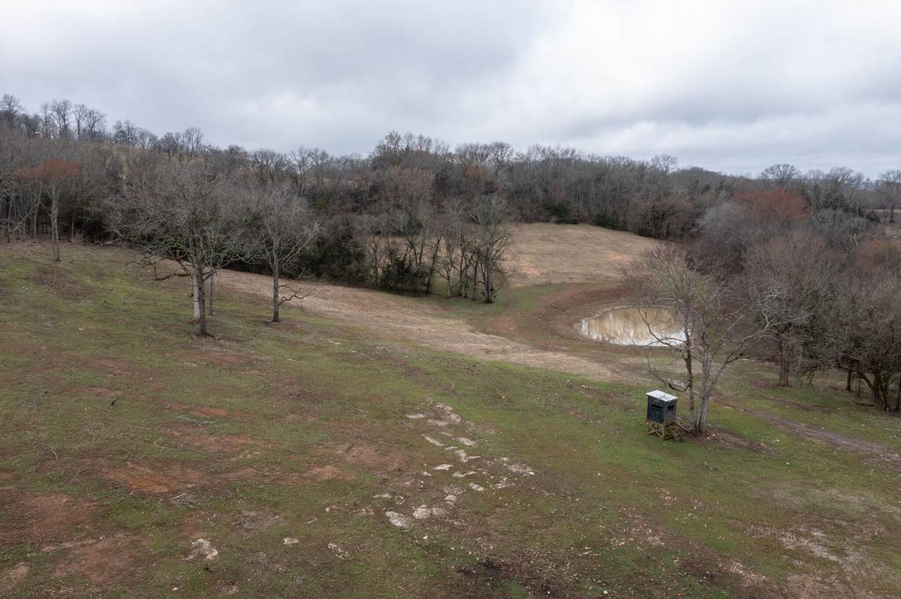 https://bt-photos.global.ssl.fastly.net/nashville/1280_boomver_1_RTC3599405-1.jpg