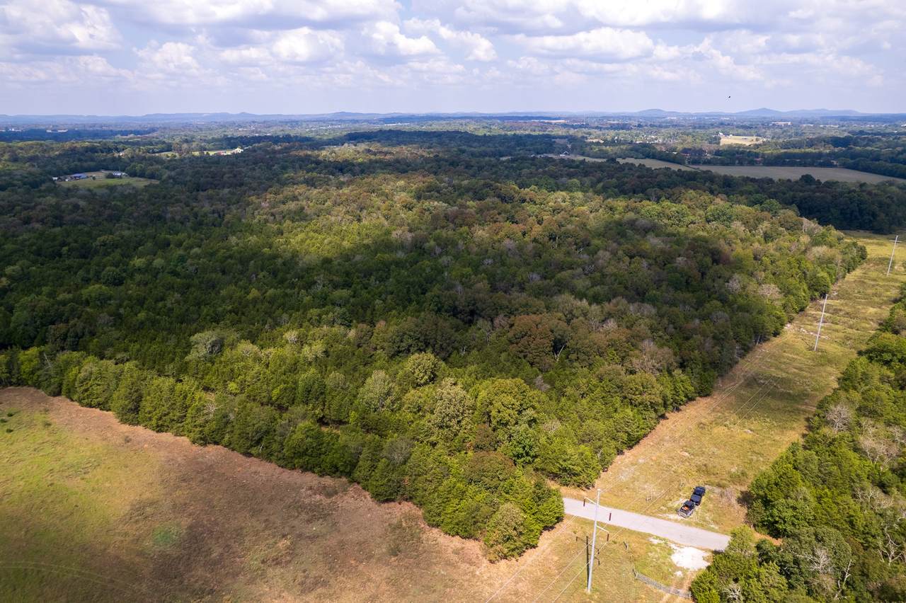 0 Clem Creek Rd - Photo 1