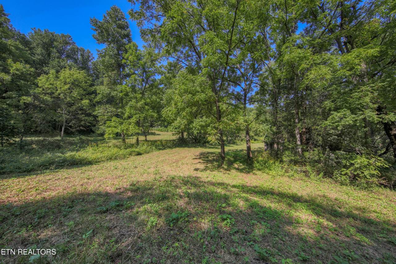 0 Belcher Loop - Photo 1