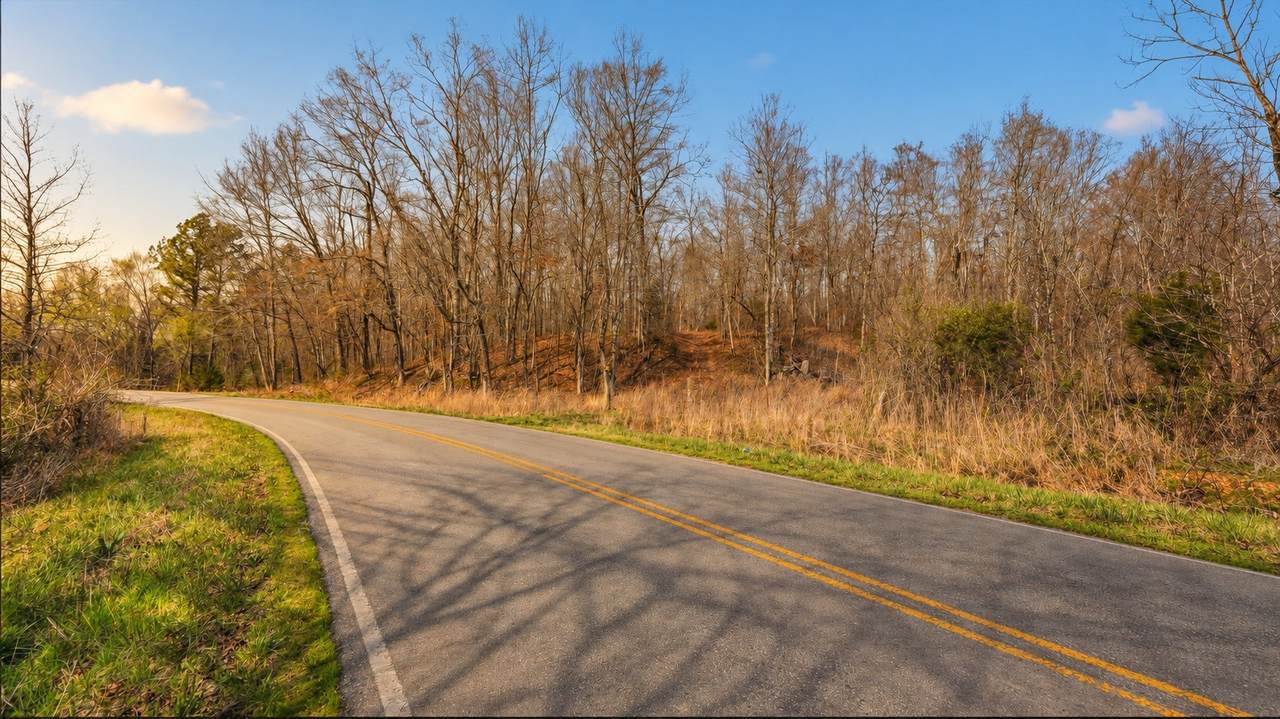 https://bt-photos.global.ssl.fastly.net/nashville/1280_boomver_1_RTC3602392-1.jpg