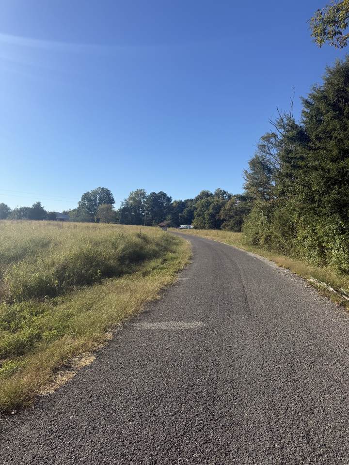 https://bt-photos.global.ssl.fastly.net/nashville/1280_boomver_1_RTC3602785-1.jpg