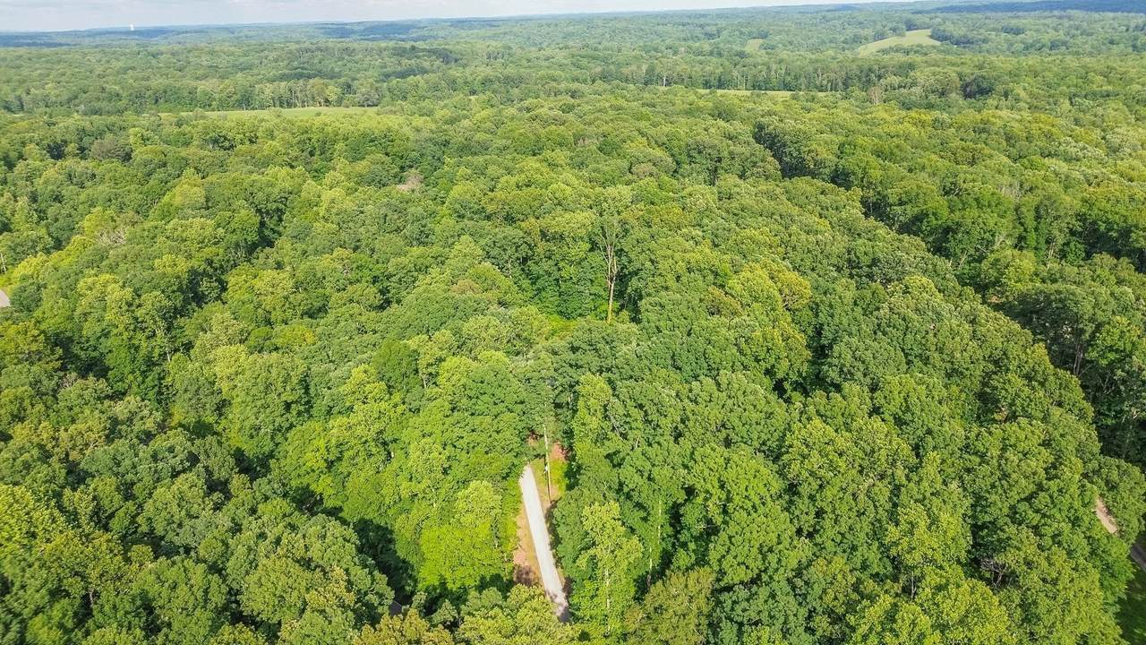 7872 Oscar Green Rd - Photo 1