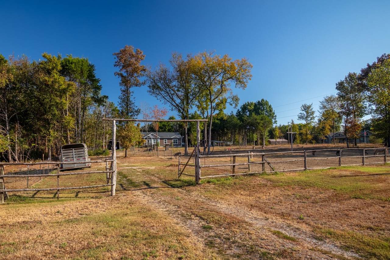 https://bt-photos.global.ssl.fastly.net/nashville/1280_boomver_1_RTC3610344-1.jpg