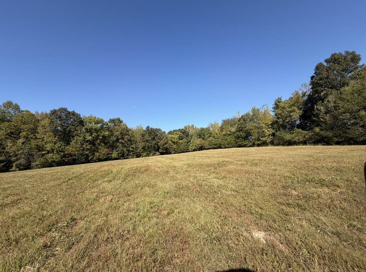 0 Davis Hollow Rd - Photo 1
