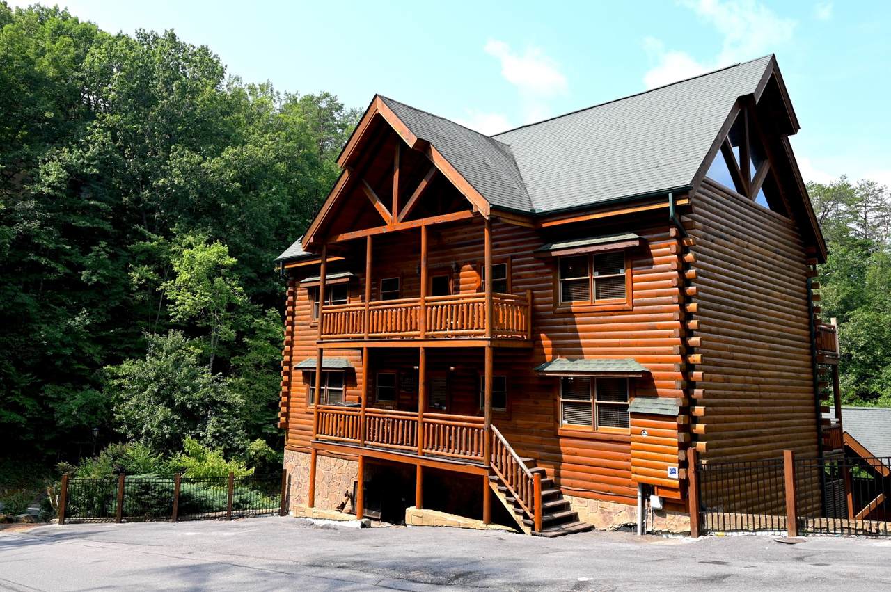 1114 Black Bear Cub Way - Photo 1