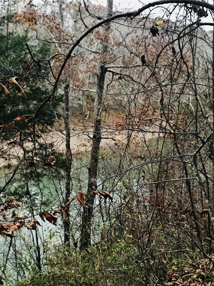 31 Long Point Dr - Photo 1