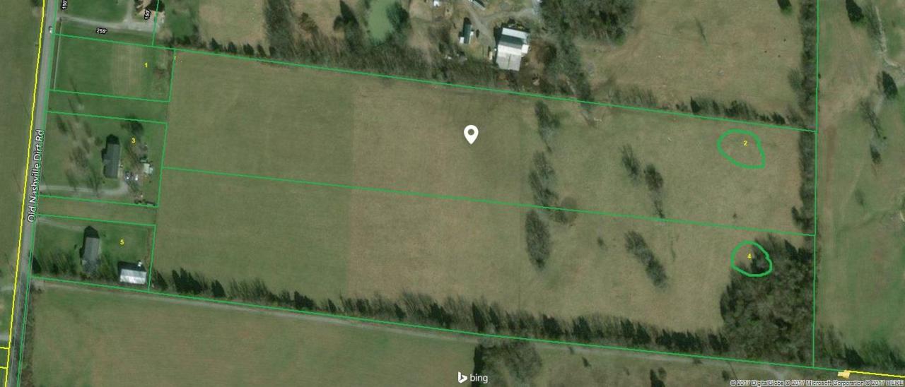 0 Old Nashville Dirt Rd. - Photo 1