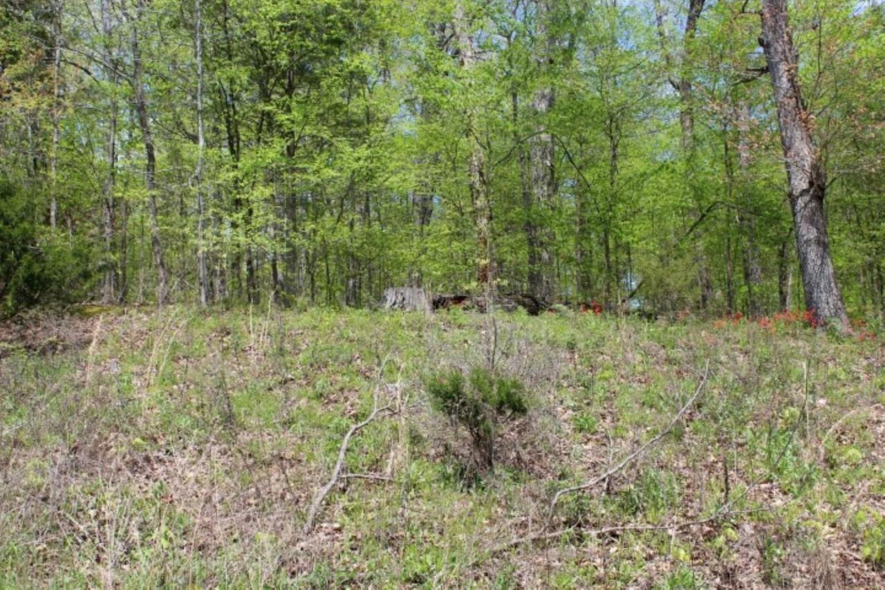 0 Harbor Dr - Photo 1