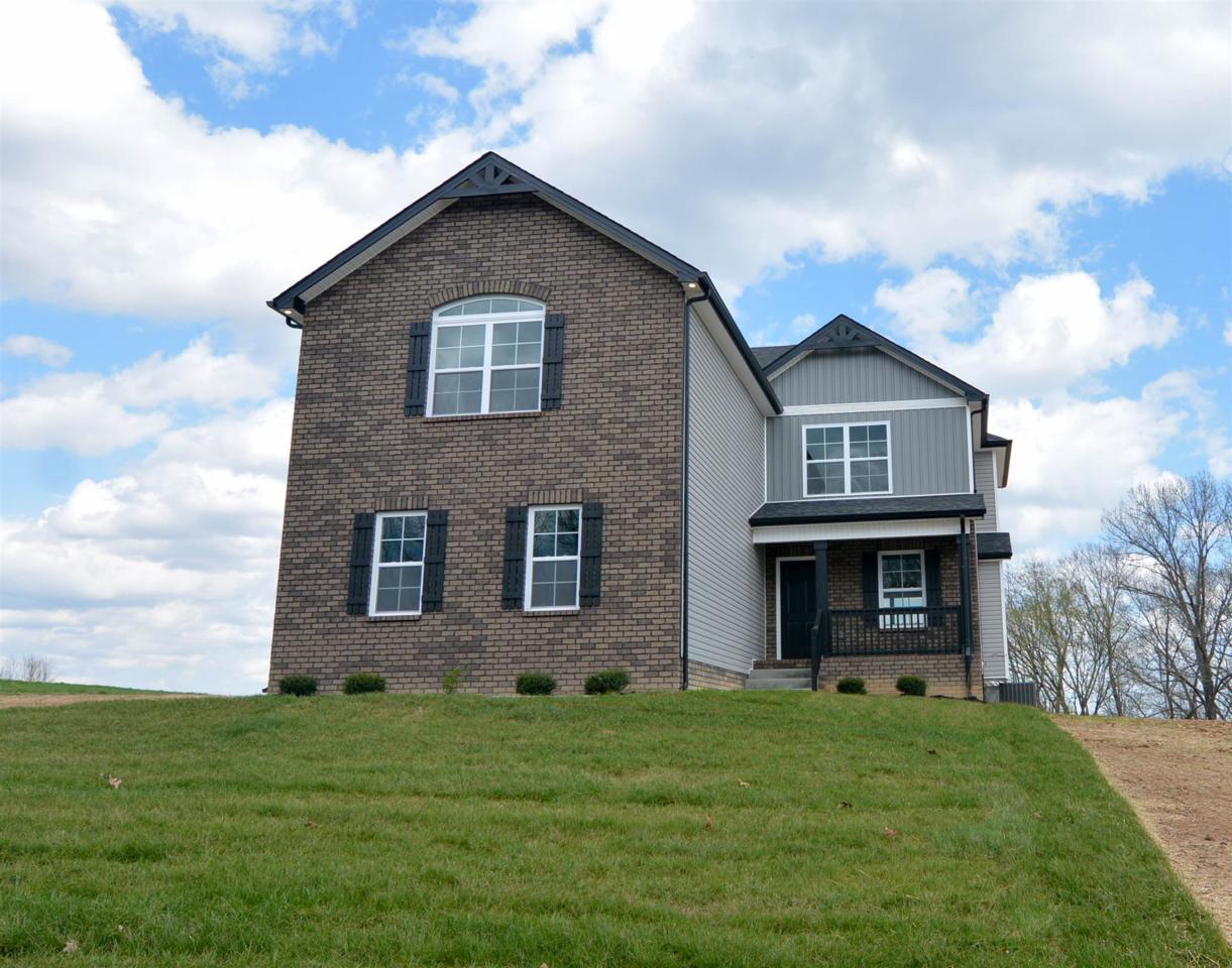 5321 Old Highway 48 - Photo 1