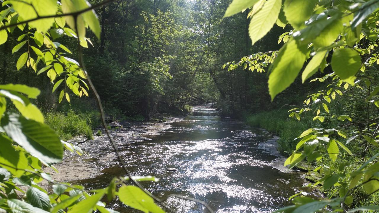 1 Sugar Camp Hollow Rd - Photo 1