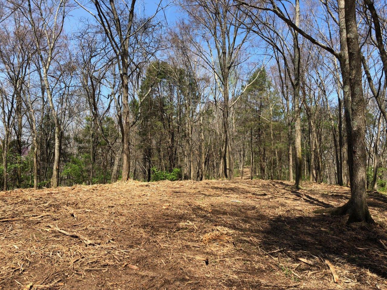 5012 Lickton Pike - Photo 1