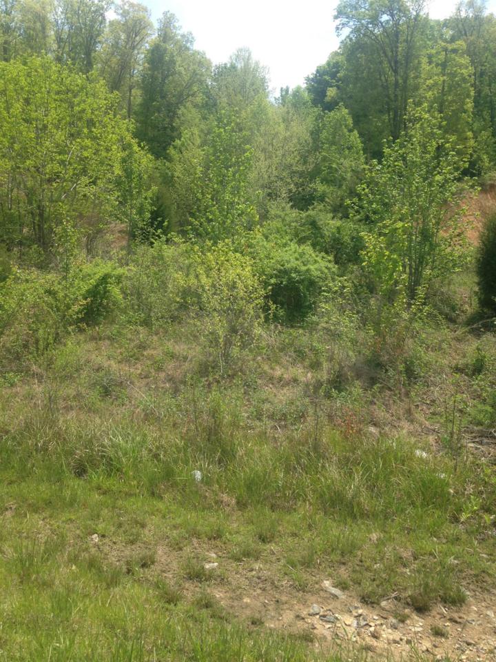 4301 Hwy 70 - Photo 1