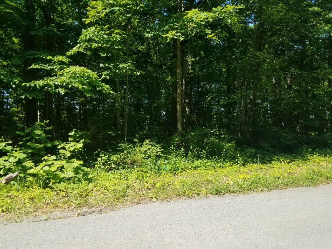 0 Highway 7 - Photo 1