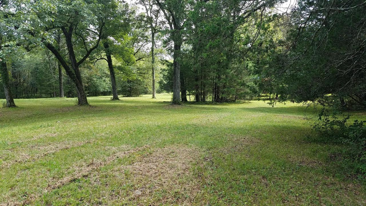 0 Browns Mill Rd - Photo 1