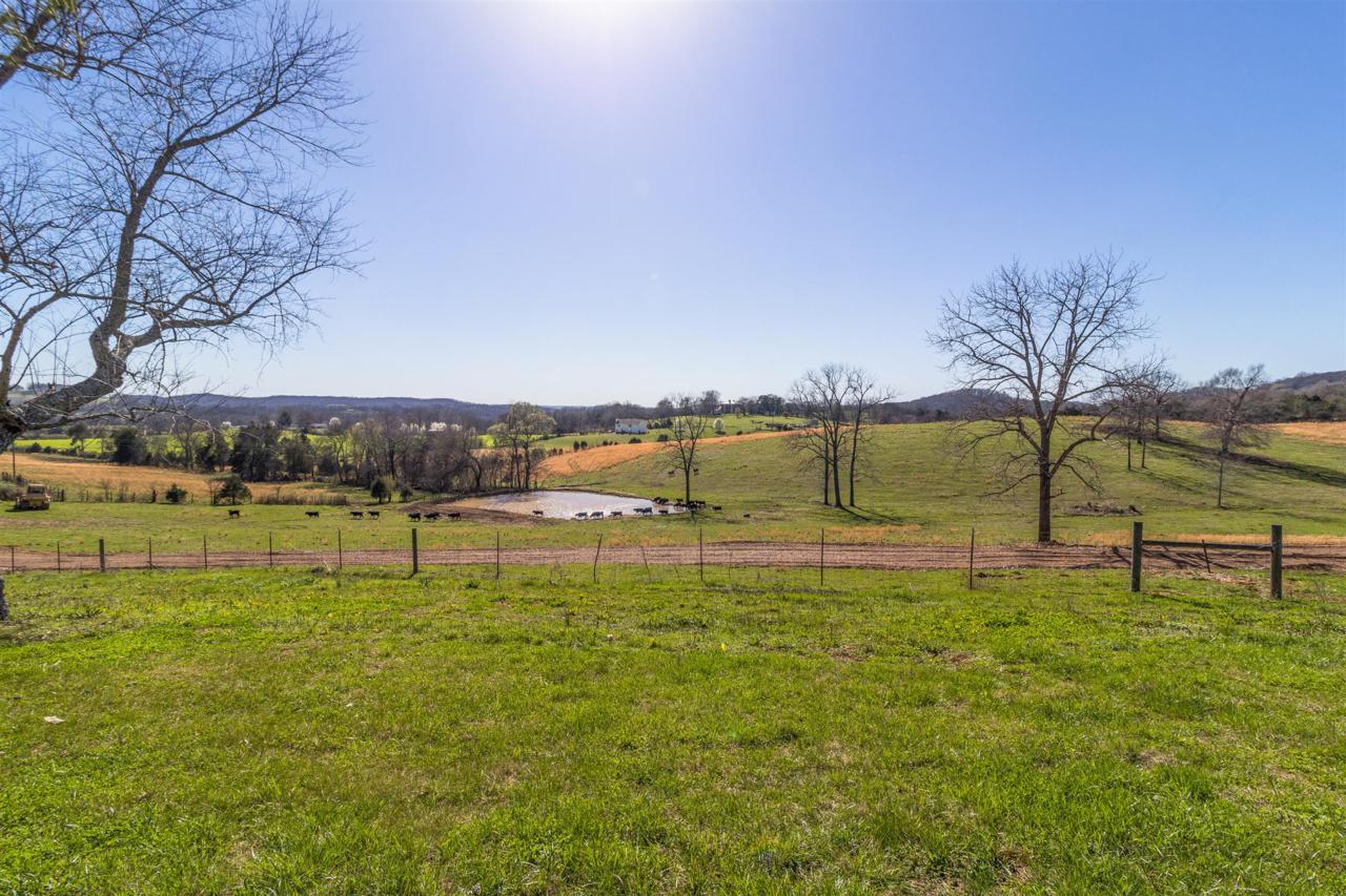 1680 Dellrose Road - Photo 1