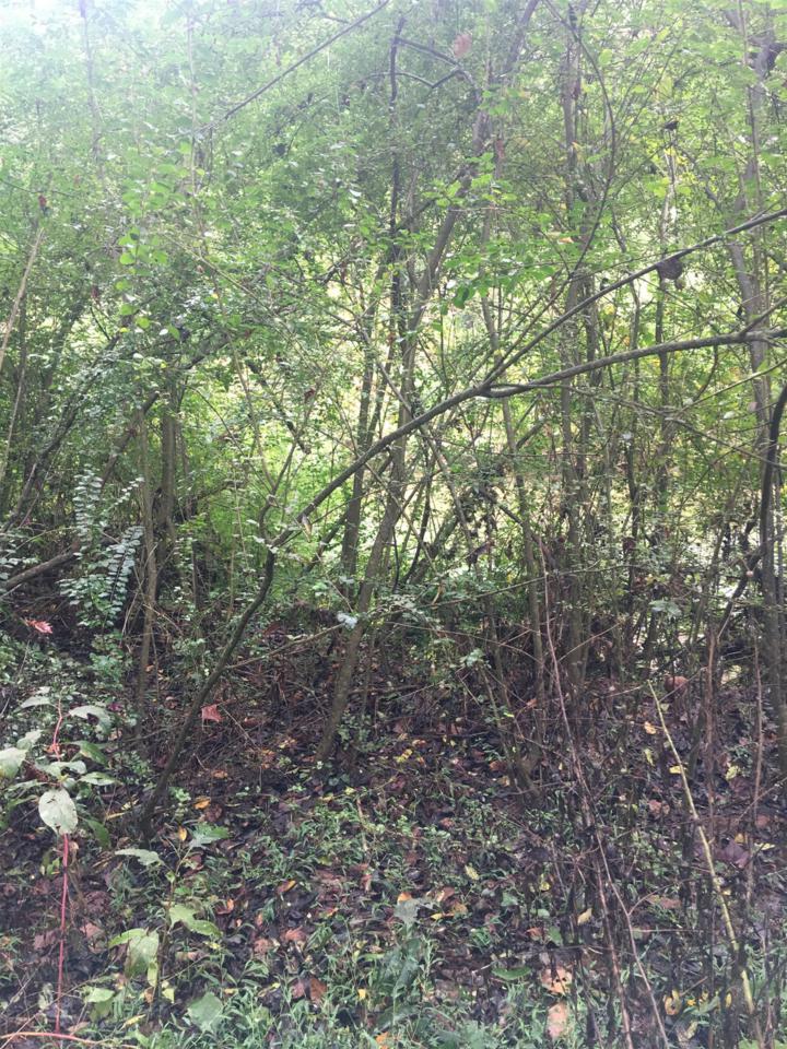 427 Hardin Loop (Lot 12) - Photo 1