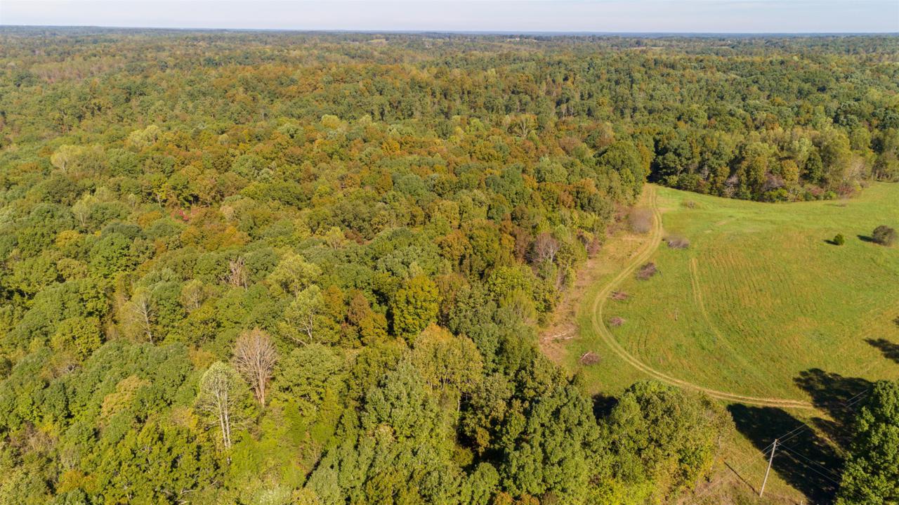 7952 Daugherty Capley Rd - Photo 1
