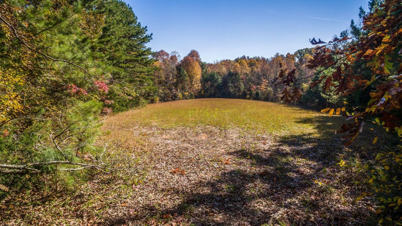 100 Johnson Chapel Rd - Photo 1