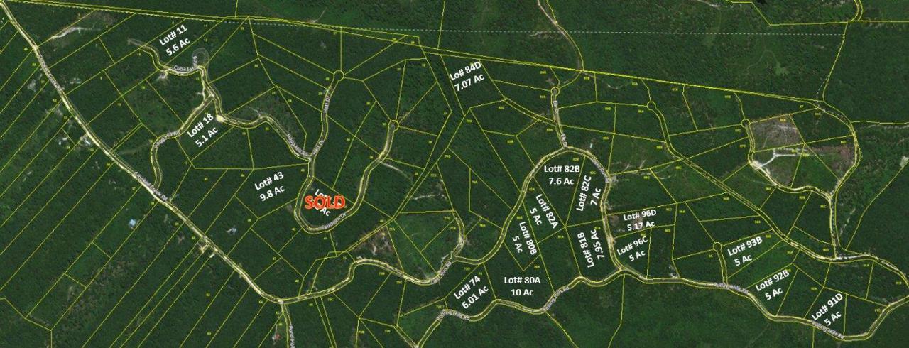 0 Deer Run Rd (Lot 82C) - Photo 1